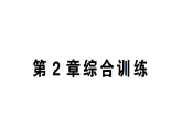 初中數(shù)學(xué)新湘教版七年級上冊第2章 代數(shù)式綜合訓(xùn)練作業(yè)課件2024秋