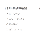 初中數(shù)學(xué)新湘教版七年級上冊第2章 代數(shù)式（一）（2.1~2.3）作業(yè)課件2024秋