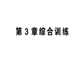 初中數(shù)學新湘教版七年級上冊第3章 一次方程（組）綜合訓練作業(yè)課件2024秋