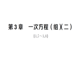 初中數(shù)學新湘教版七年級上冊第3章 一次方程（組）（二）（3.5~3.8）作業(yè)課件2024秋