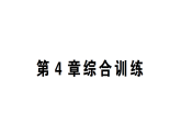初中數(shù)學(xué)新湘教版七年級(jí)上冊(cè)第4章 圖形的認(rèn)識(shí)綜合訓(xùn)練作業(yè)課件2024秋