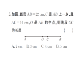 初中數(shù)學(xué)新湘教版七年級(jí)上冊(cè)第4章 圖形的認(rèn)識(shí)（一）（4.1~4.2）作業(yè)課件2024秋