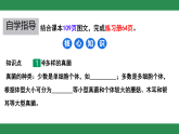 初中  生物  人教版（2024）  七年級(jí)上冊(cè)第三節(jié) 真菌 課件