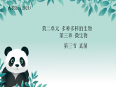 初中  生物  人教版（2024）  七年級(jí)上冊(cè)第三節(jié) 真菌 課件