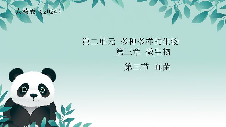 16529541第1页