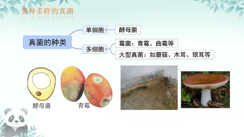 16529541第3页