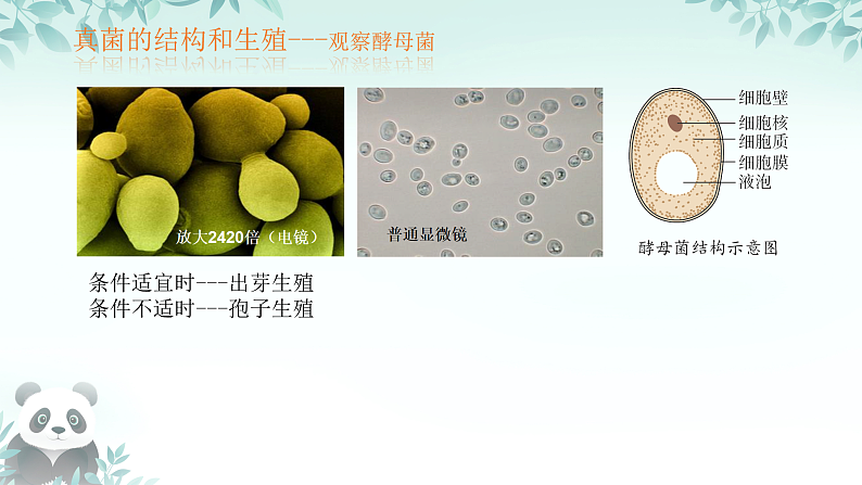 16529541第4页