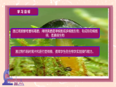 初中  生物  人教版（2024）  七年級(jí)上冊(cè)第三節(jié) 真菌 課件