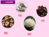 初中  生物  人教版（2024）  七年級(jí)上冊(cè)第三節(jié) 真菌 課件