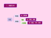 初中  生物  人教版（2024）  七年級(jí)上冊(cè)第三節(jié) 真菌 課件
