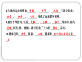 2024教科版科学五年级上册期末测试卷  作业课件