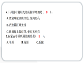 2024教科版科学五年级上册期中测试卷  作业课件