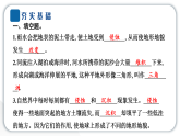 2024教科版科学五年级上册第二单元地球表面的变化6 水的作用  作业课件