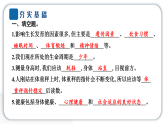 2024教科版科学五年级上册第四单元健康生活1 我们的身体   作业课件