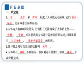 2024教科版科学五年级上册第四单元健康生活2 身体的运动  作业课件