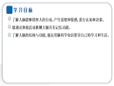 2024教科版科学五年级上册第四单元健康生活4 身体的“总指挥”  作业课件