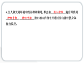 2024教科版科学五年级上册第四单元健康生活5 身体的“联络员”  作业课件