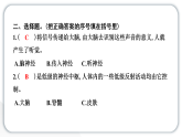 2024教科版科学五年级上册第四单元健康生活5 身体的“联络员”  作业课件