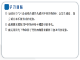 2024教科版科学五年级上册第一单元光3 光的传播会遇到阻碍吗  作业课件