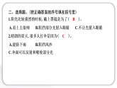 2024教科版科学五年级上册第一单元光3 光的传播会遇到阻碍吗  作业课件