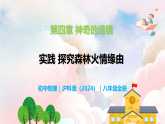 第四章 實(shí)踐 探究森林火情緣由—初中物理八年級(jí)全一冊(cè) 同步教學(xué)課件（滬科版2024）