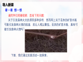 第四章 實(shí)踐 探究森林火情緣由—初中物理八年級(jí)全一冊(cè) 同步教學(xué)課件（滬科版2024）