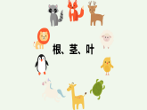 人教鄂教版（2024）科學(xué)三下第二單元第6課《根、莖、葉》精品課件