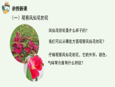 人教鄂教版（2024）科學(xué)三下第二單元第7課《花、果實(shí)、種子》精品課件 1