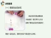 人教鄂教版（2024）科學(xué)三下第二單元第7課《花、果實(shí)、種子》精品課件 1