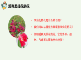 人教鄂教版（2024）科學(xué)三下第二單元第7課《花、果實(shí)、種子》精品課件