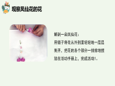 人教鄂教版（2024）科學(xué)三下第二單元第7課《花、果實(shí)、種子》精品課件