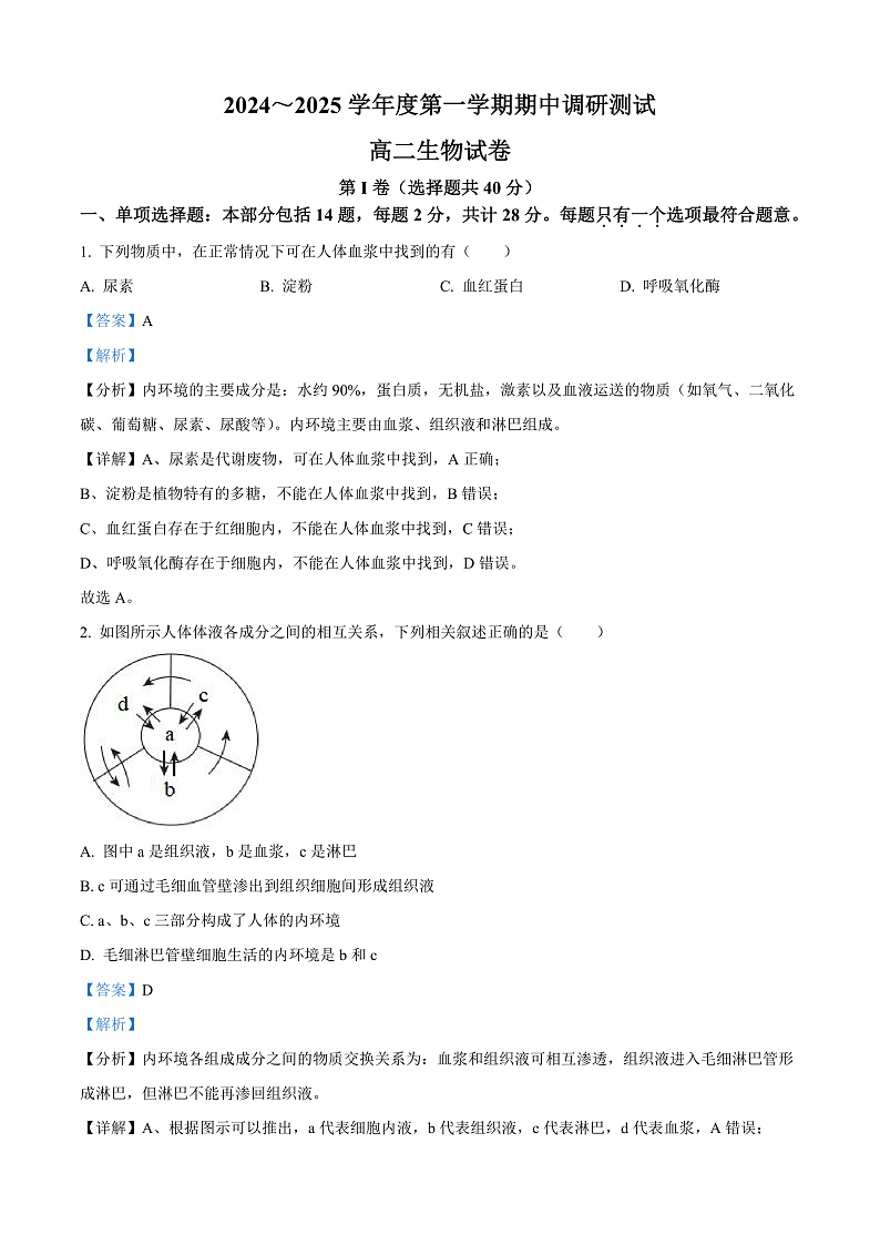 江苏省宿迁市沭阳县2024-2025学年高二上学期11月期中生物试题含解析第1页