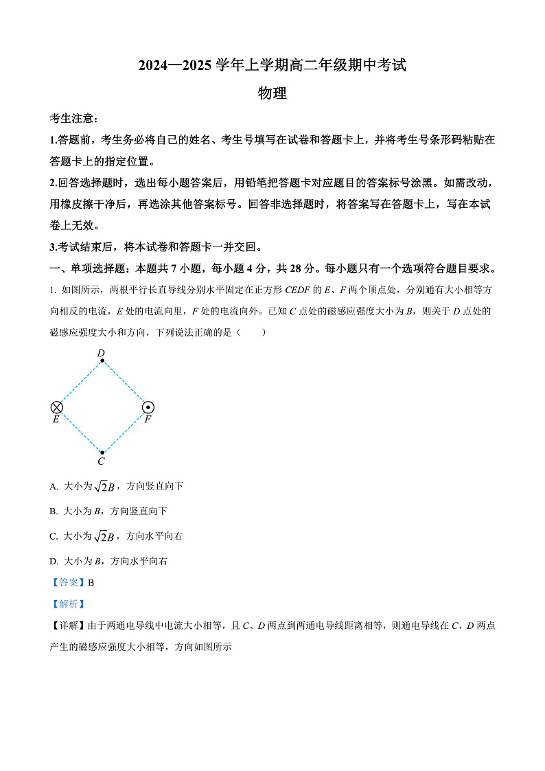 河南省濮阳市2024-2025学年高二上学期期中考试物理试卷含解析第1页