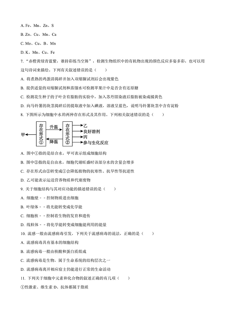 四川省眉山市仁寿县协作体2024-2025学年高一上学期11月期中联考生物试题无答案第2页