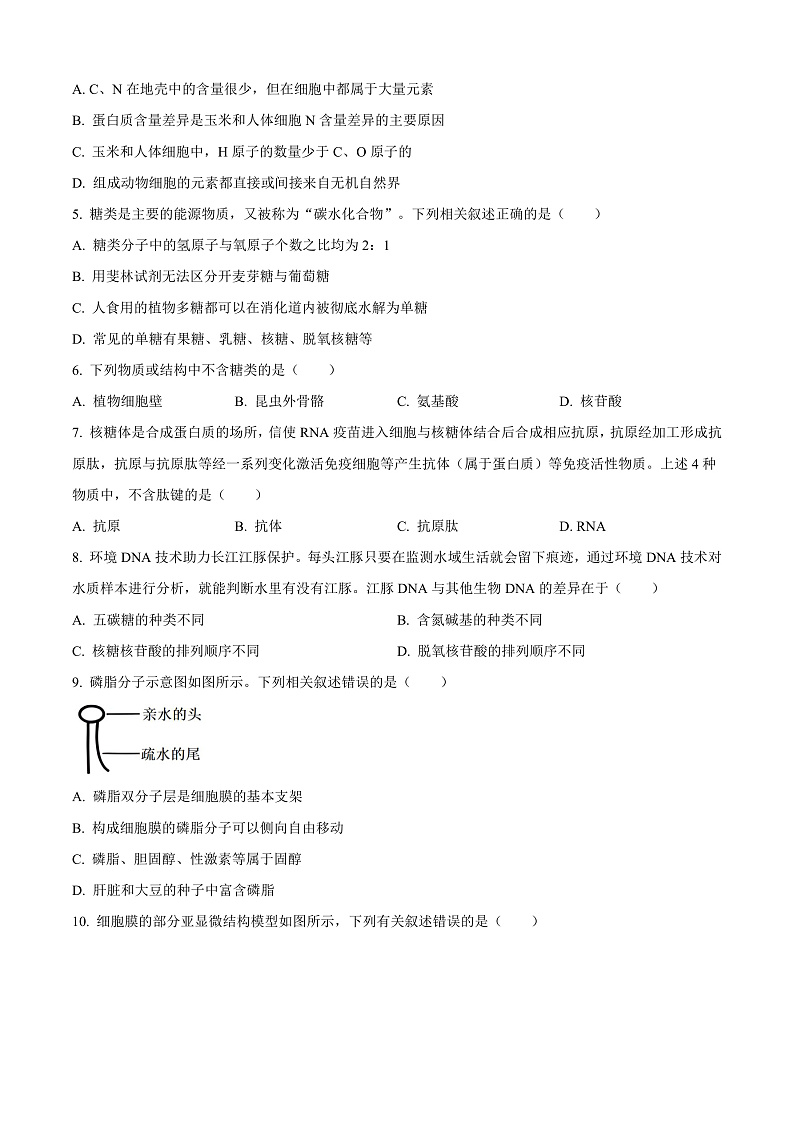 河南省新乡市封丘县2024-2025学年高一上学期11月期中考试生物试题无答案第2页