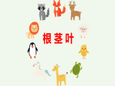 人教鄂教版（2024）科學(xué)三下第二單元第6課《根、莖、葉》精品課件1
