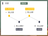 人教版地理八年级下册 6.3《世界最大的黄土堆积区——黄土高原》课件