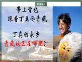 人教版地理八年级下册 9.1《自然特征与农业》课件