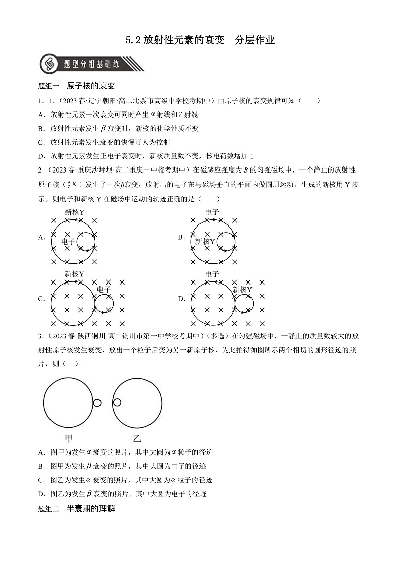 人教版（2019）高中物理选择性必修第三册5.2放射性元素的衰变 分层练习（原卷）第1页