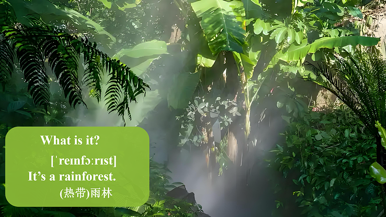 16542706第7页