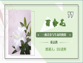 部编版（2023）中职语文基础模块下《百合花》课件