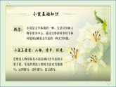 部编版（2023）中职语文基础模块下《百合花》课件