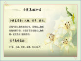 部编版（2023）中职语文基础模块下《百合花》课件