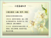部编版（2023）中职语文基础模块下《百合花》课件