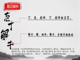 《庖丁解?！氛n件-2024-2025學(xué)年中職語文高一備課資源（高教版2023基礎(chǔ)上冊）