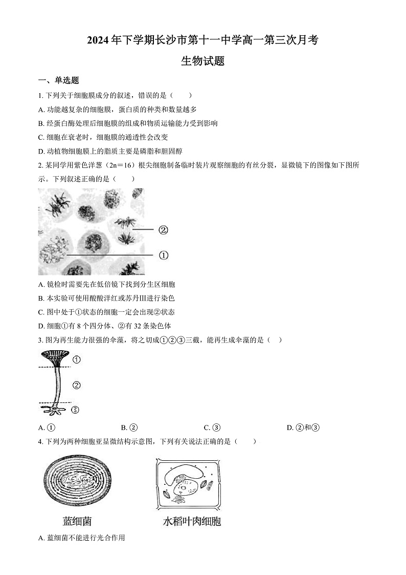 湖南省长沙市第十一中学2024-2025学年高一上学期12月月考生物试题（原卷版）第1页