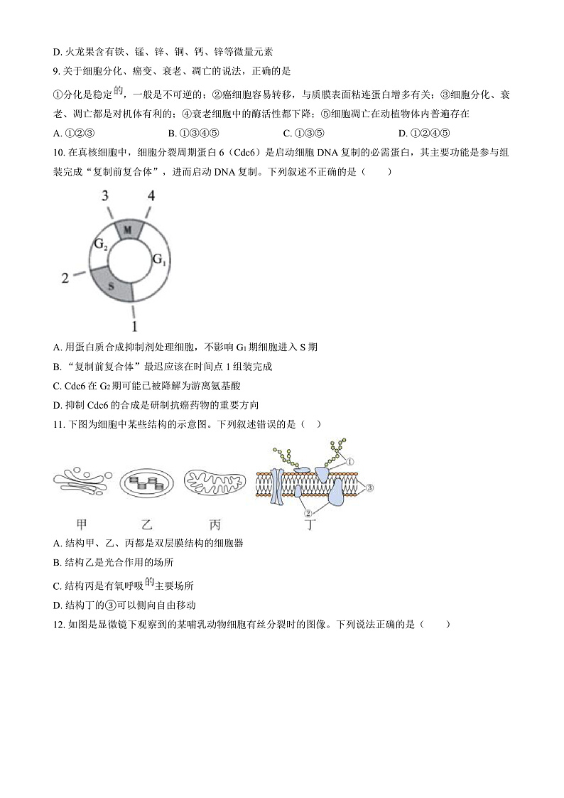 湖南省长沙市第十一中学2024-2025学年高一上学期12月月考生物试题（原卷版）第3页