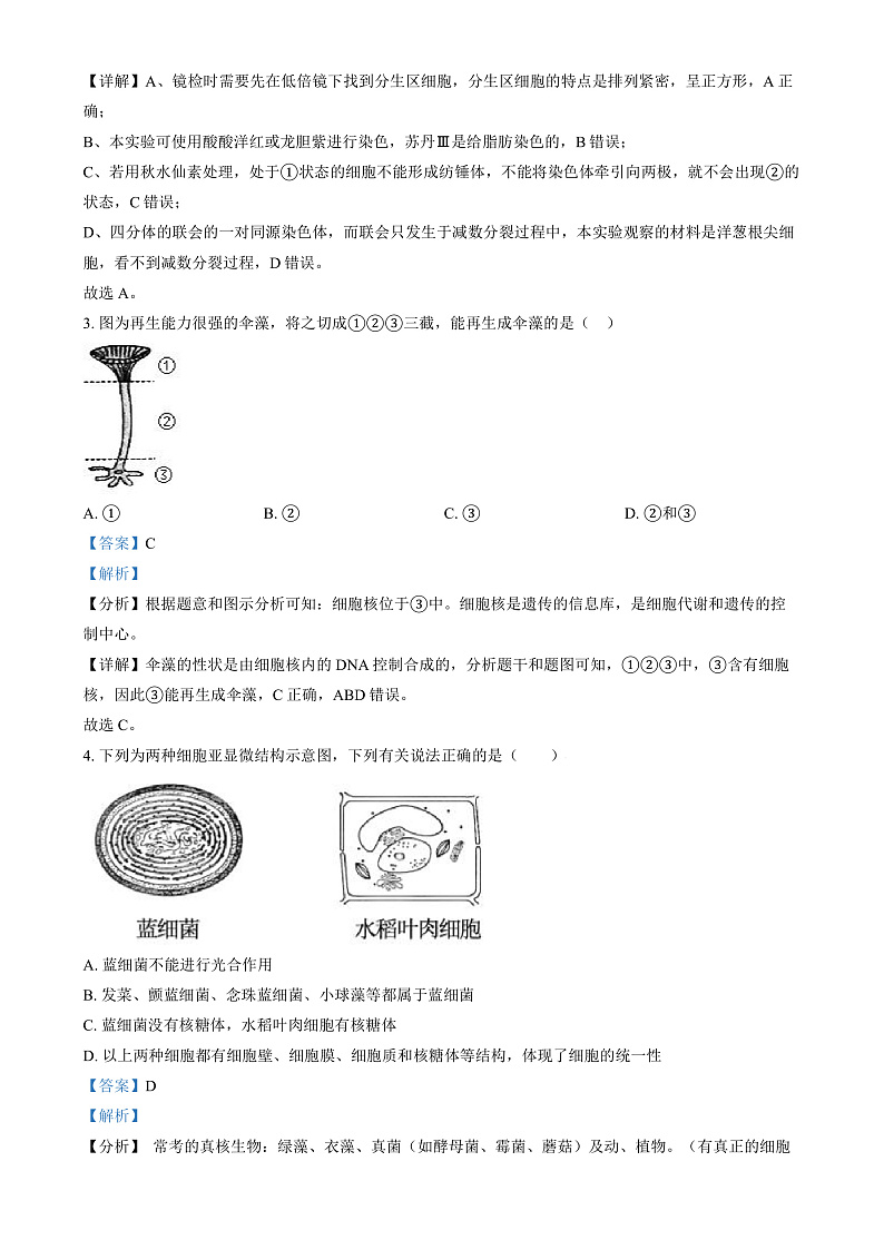湖南省长沙市第十一中学2024-2025学年高一上学期12月月考生物试题（解析版）第2页