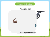 科普版英語四下Unit1 Lesson 1《Whose watch is it 》第一課時 課件+教案+素材
