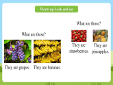 科普版英語(yǔ)四下Unit5 Lesson 5《What are these》第一課時(shí) 課件+教案+素材